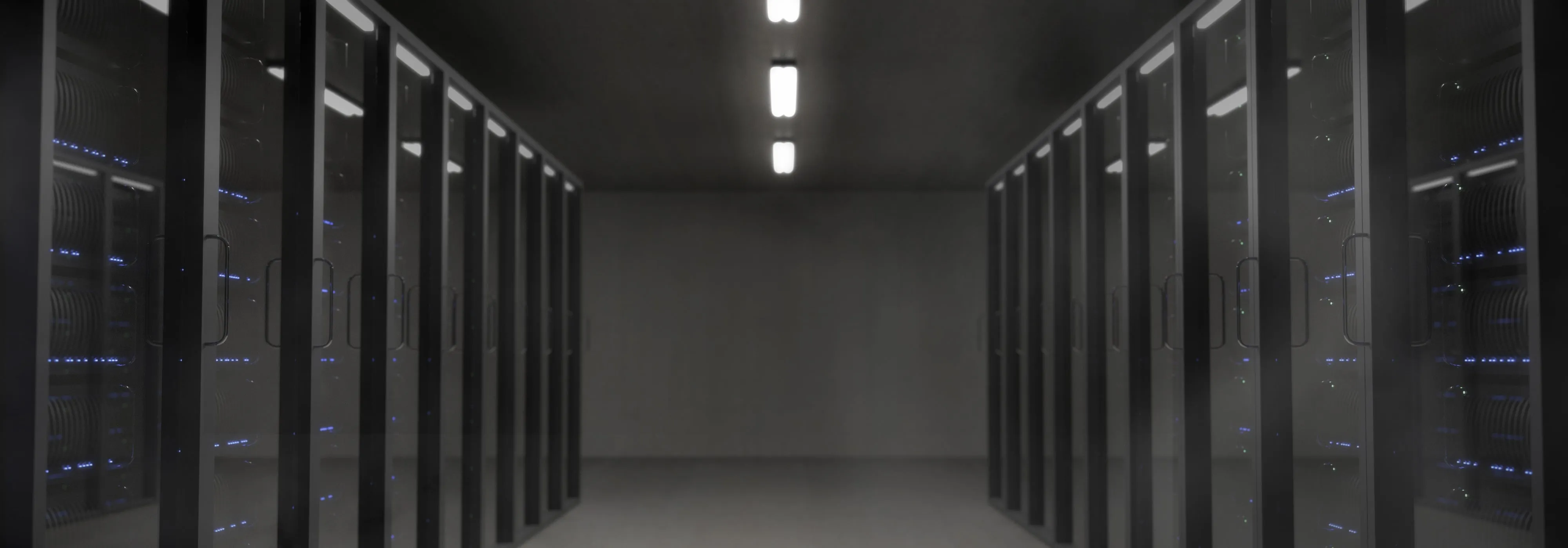 Salle de serveurs AlpenData